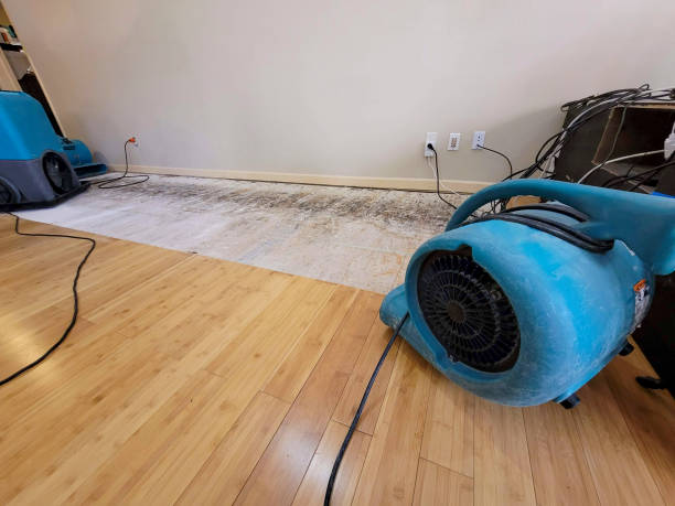 Professional Structural Drying technician working in Middlesex, NJ